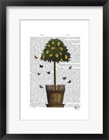 Lemon Tree Framed Print