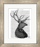 Deer Portrait 1 Fine Art Print