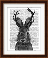 Jackalope with Grey Antlers Fine Art Print