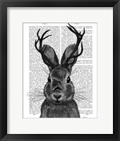 Jackalope with Grey Antlers Framed Print