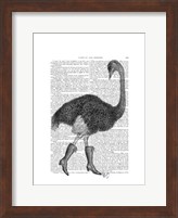Ostrich In Boots Fine Art Print