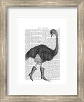 Ostrich In Boots Fine Art Print