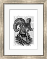 Mountain Goat Portrait Fine Art Print