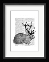 Jackalope Portrait 1 Framed Print