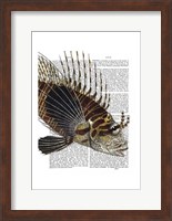 Vintage Spiky Fish Fine Art Print