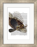 Vintage Spiky Fish Fine Art Print