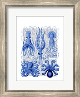 Octopus & Squid Blue Fine Art Print