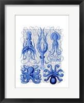 Octopus & Squid Blue Fine Art Print