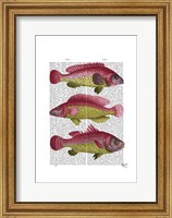 Red and Yellow Fantasy Fish Trio Fine Art Print