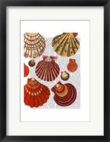 Red Clam Shells Fine Art Print