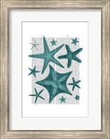 Green Starfish Collection Fine Art Print