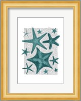 Green Starfish Collection Fine Art Print