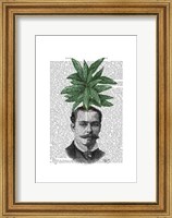 Chinese Evergreen Head Plant Head Fine Art Print