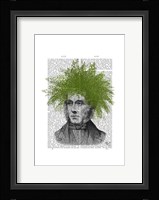 Asparagus Fern Head Plant Head Framed Print