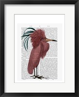 Crested Marsala Bird Framed Print