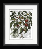 Peppers 2 Fine Art Print