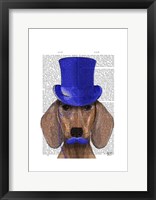 Dachshund With Blue Top Hat and Blue Moustache Framed Print