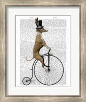 Greyhound on Black Penny Farthing Bike Fine Art Print