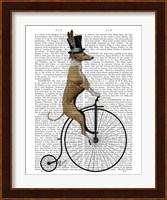 Greyhound on Black Penny Farthing Bike Fine Art Print