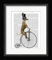 Greyhound on Black Penny Farthing Bike Framed Print