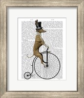 Greyhound on Black Penny Farthing Bike Fine Art Print