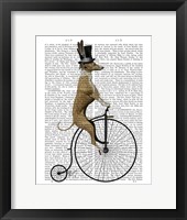 Greyhound on Black Penny Farthing Bike Framed Print