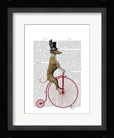 Greyhound on Red Penny Farthing Bike Framed Print