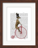 Greyhound on Red Penny Farthing Bike Fine Art Print