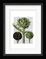 Globe Artichoke Print 1 Fine Art Print