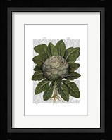 Cauliflower Framed Print