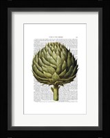 Globe Artichoke Print 2 Fine Art Print