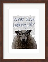 What Ewe Looking At Fine Art Print