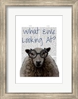 What Ewe Looking At Fine Art Print