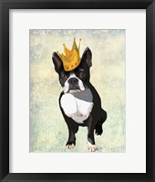 Boston Terrier and Crown Framed Print