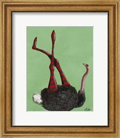 Ostrich Striped Leggings Fine Art Print