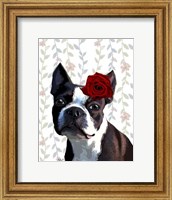 Boston Terrier with Rose on Head Fine Art Print