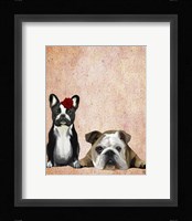 French Bulldog and English Bulldog Framed Print