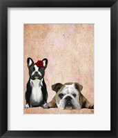 French Bulldog and English Bulldog Framed Print
