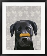 Black Labrador With Bone on Nose Fine Art Print