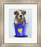 Bulldog Bucket Of Love Blue Fine Art Print