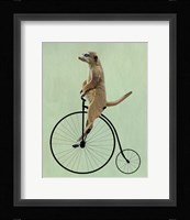Meerkat on Black Penny Farthing Framed Print