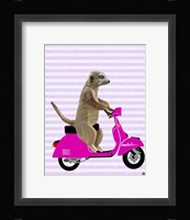 Meerkat on Pink Moped Framed Print