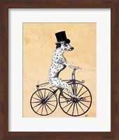 Dalmatian On Bicycle Fine Art Print