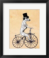 Dalmatian On Bicycle Framed Print
