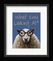 What Ewe Looking At Sheep Print Framed Print