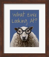 What Ewe Looking At Sheep Print Fine Art Print