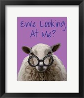 Ewe Looking at Me DeNiro Sheep Fine Art Print
