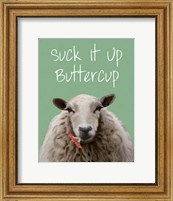 Suck It Up Buttercup Sheep Print Fine Art Print