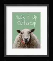 Suck It Up Buttercup Sheep Print Framed Print