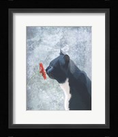 Black Cat Sniffing Flower Fine Art Print